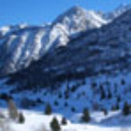 Kingfisher Indian Curry Bistro